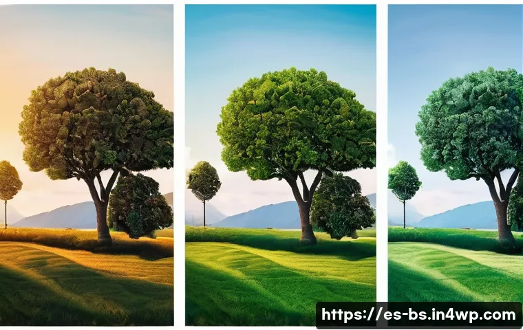 기후변화 관측 참여를 위한 리더십 개발 - Here are three detailed image prompts in English, designed for image generation, adhering to all spe...